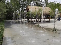 -南宫五洲植物乐园