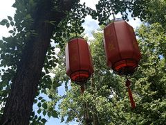 -国生茶庄·地道农家菜团建活动