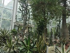 -郑州植物园