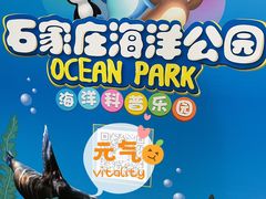 -石家庄海洋公园