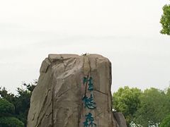 -昆山城市生态森林公园