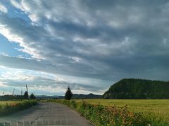 -凤凰山国家森林公园