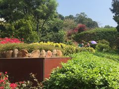 -仙岳公园