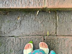 -赤水丹霞旅游区·大瀑布