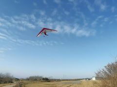 -金谷域澳洲庄园