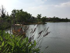 -上海长兴岛郊野公园