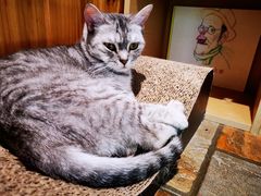 -隅cafe(傅厚岗店)