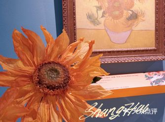 上海探店｜向日葵控的天堂，美到哭泣！