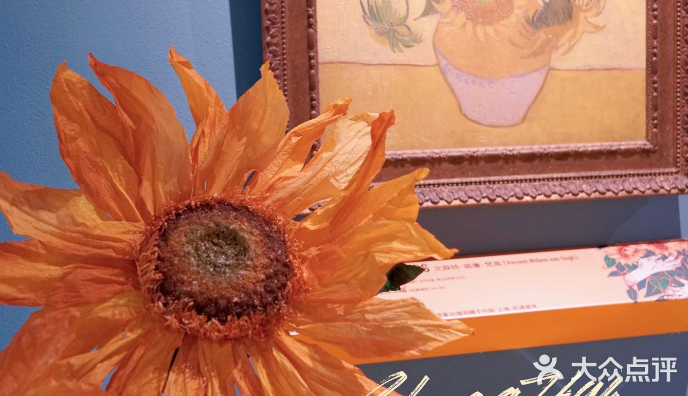 🌻上海探店｜向日葵控的天堂，美到哭泣！