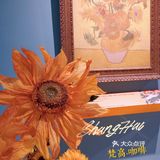 🌻上海探店｜向日葵控的天堂，美到哭泣！