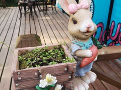 -崇明东平国家森林公园烧烤房车露营地