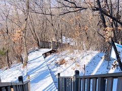 -帽儿山国家森林公园