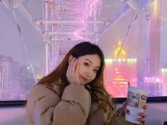 -星城之眼摩天轮