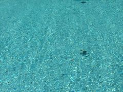 -三亚太阳湾柏悦酒店