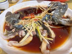 -煲来饱去冷水鱼