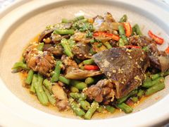姜汁甲鱼-临江宴(陆家嘴店)