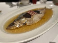 陈年花雕蒸鲥鱼-福1088