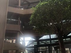 -上海滴水湖皇冠假日酒店