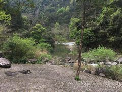 -龙湾潭国家森林公园