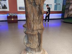 -龙虎山世界地质公园博物馆