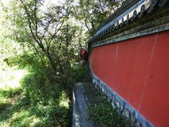 -阳台山自然风景区