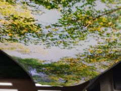 -麦当劳(世界城广场店)