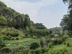 -东莞植物园