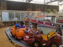 -南宫五洲植物乐园