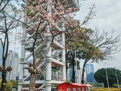 -海心沙亚运公园