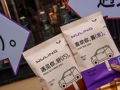 -嘎嘎鸭脑壳(蜀汉路店)