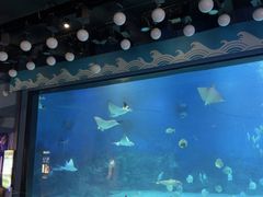 -烟台海昌鲸鲨海洋公园