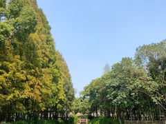-乌镇东栅景区