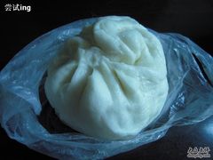 好大的大包-朝阳东莞大包第一家