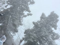 -南岳衡山风景名胜区-南岳大庙