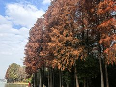 -长广溪湿地公园