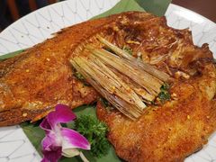 香茅草烤罗非鱼-紫滇源云南生态菜(丹凤街店)