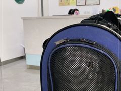 -中农国际动物医院24小时·猫科·骨科·急重症中心