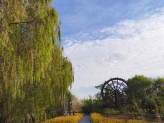 -溱湖国家湿地公园