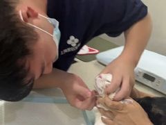 -思琪宠物医院(昆山花桥店)