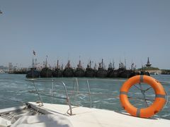 -日照世帆赛基地