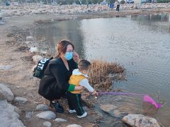 -绿岛公园(滨海新区)
