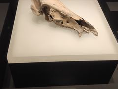 -上海崧泽遗址博物馆