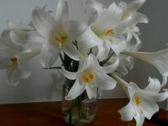 -乐唱氧吧量贩式KTV