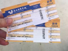 -AMG海上明珠影城(上海环球港RealDCinema店)