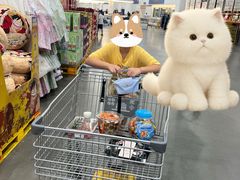-山姆会员商店(亦庄创意生活广场店)