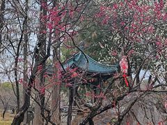 -无锡梅园公园