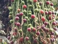 -龙达温泉生态城