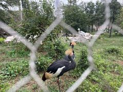 -石家庄市动物园