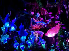 -奥兰多迪士尼动物王国乐园