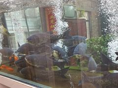 -又见炊烟私房菜(敬亭路店)